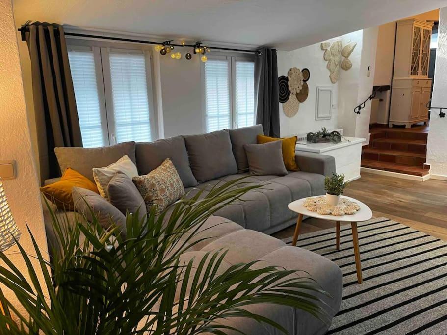 Ferienwohnung Terrassenblick Цюлпих Екстериор снимка
