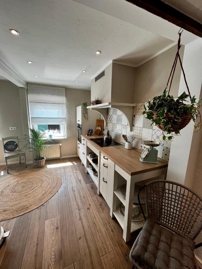 Ferienwohnung Terrassenblick Цюлпих Екстериор снимка
