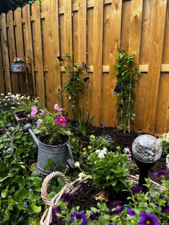 Ferienwohnung Terrassenblick Цюлпих Екстериор снимка